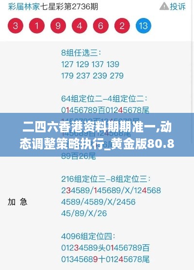 二四六香港资料期期准一,动态调整策略执行_黄金版80.887-8