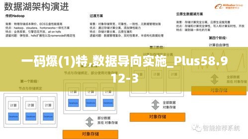 一码爆(1)特,数据导向实施_Plus58.912-3