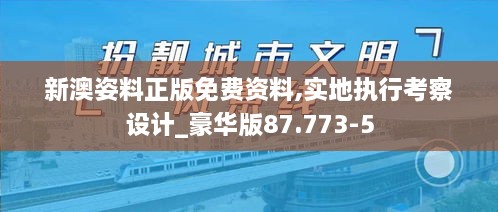 新澳姿料正版免费资料,实地执行考察设计_豪华版87.773-5