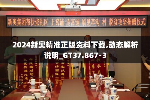 2024新奥精准正版资料下载,动态解析说明_GT37.867-3