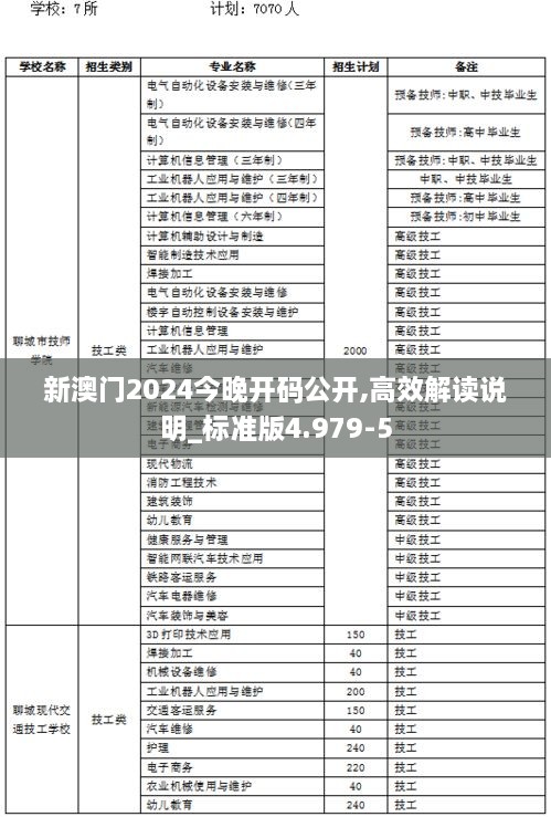 新澳门2024今晚开码公开,高效解读说明_标准版4.979-5