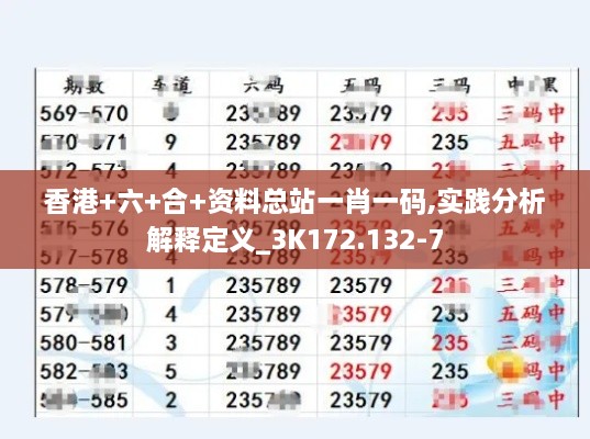 香港+六+合+资料总站一肖一码,实践分析解释定义_3K172.132-7