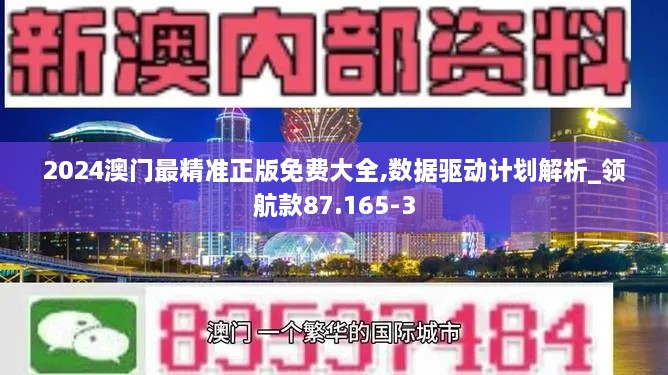 2024澳门最精准正版免费大全,数据驱动计划解析_领航款87.165-3