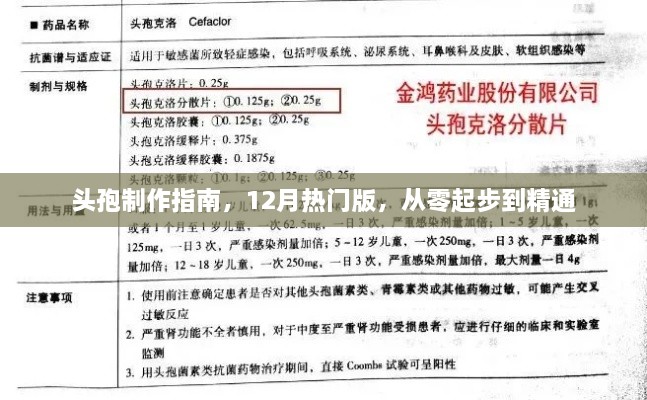 头孢制作指南，零基础到精通，12月最新版