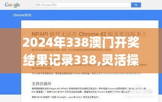 2024年338澳门开奖结果记录338,灵活操作方案设计_Pixel181.159-7