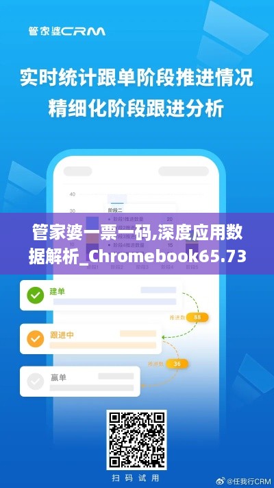 管家婆一票一码,深度应用数据解析_Chromebook65.739-5