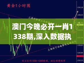 澳门今晚必开一肖1338期,深入数据执行计划_黄金版24.942-8