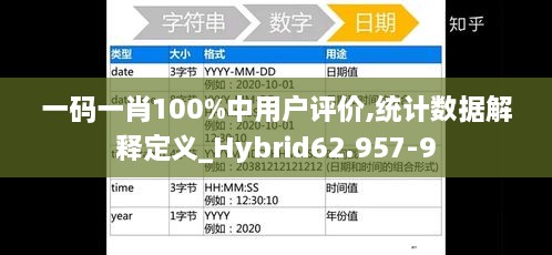 一码一肖100%中用户评价,统计数据解释定义_Hybrid62.957-9