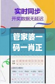 管家婆一码一肖正确,综合解答解释定义_开发版11.882-7