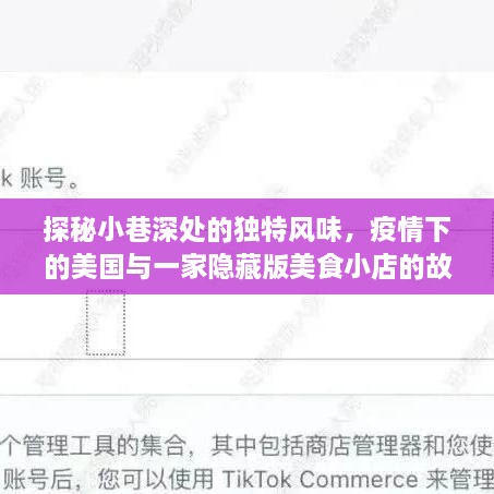 疫情下的美国小巷美食探秘，隐藏版风味小店的传奇故事