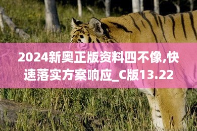 2024新奥正版资料四不像,快速落实方案响应_C版13.221-4