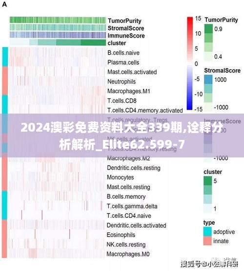 2024澳彩免费资料大全339期,诠释分析解析_Elite62.599-7