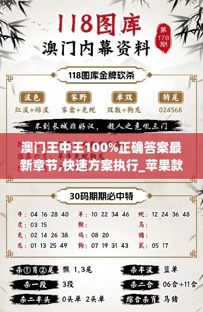 澳门王中王100%正确答案最新章节,快速方案执行_苹果款22.204-5