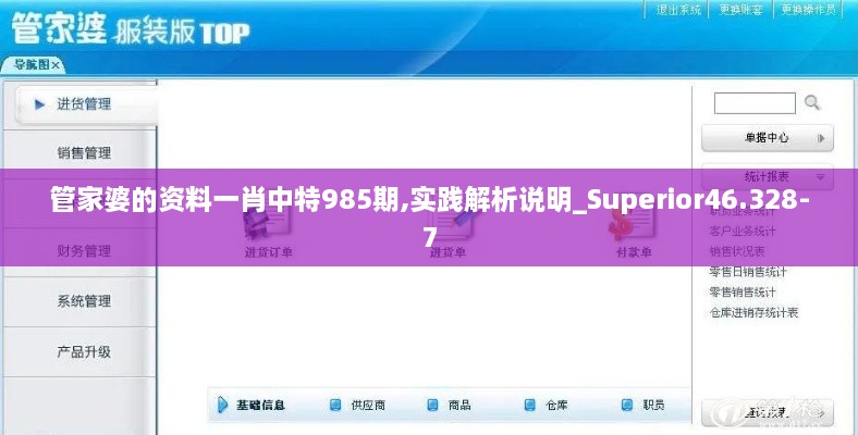 管家婆的资料一肖中特985期,实践解析说明_Superior46.328-7