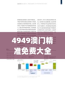 4949澳门精准免费大全2023,数据驱动决策执行_进阶款37.924-5