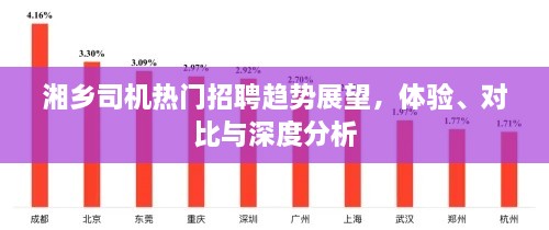 湘乡司机招聘趋势展望，体验、对比与深度探究