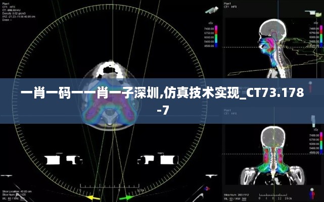 一肖一码一一肖一子深圳,仿真技术实现_CT73.178-7