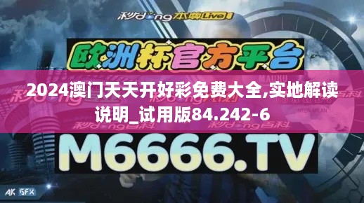 2024澳门天天开好彩免费大全,实地解读说明_试用版84.242-6