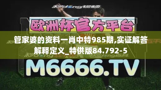 管家婆的资料一肖中特985期,实证解答解释定义_特供版84.792-5