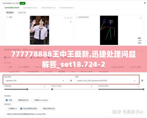 777778888王中王最新,迅捷处理问题解答_set18.724-2