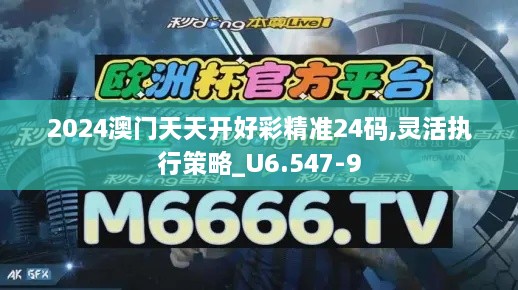 2024澳门天天开好彩精准24码,灵活执行策略_U6.547-9