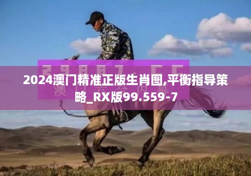 2024澳门精准正版生肖图,平衡指导策略_RX版99.559-7