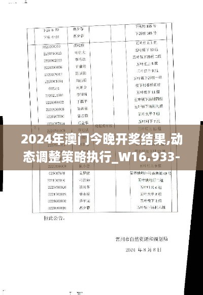 2024年澳门今晚开奖结果,动态调整策略执行_W16.933-6