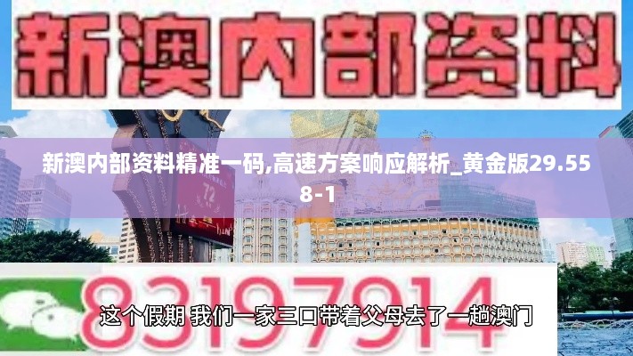 新澳内部资料精准一码,高速方案响应解析_黄金版29.558-1