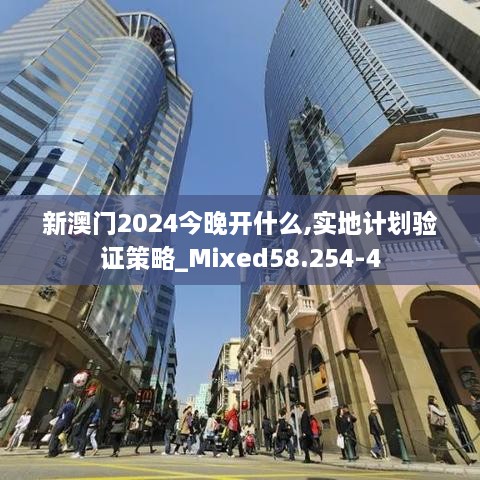 新澳门2024今晚开什么,实地计划验证策略_Mixed58.254-4