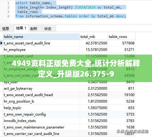 4949资料正版免费大全,统计分析解释定义_升级版26.375-9