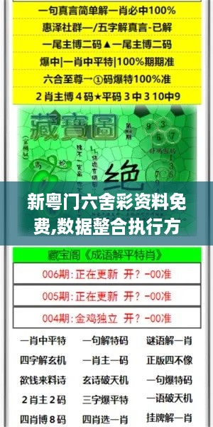 新粤门六舍彩资料免费,数据整合执行方案_FT97.459-2