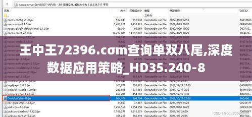 王中王72396.cσm查询单双八尾,深度数据应用策略_HD35.240-8