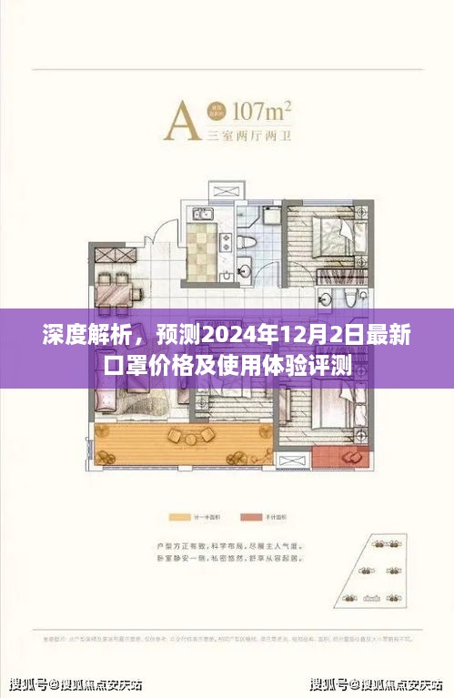 深度解析，预测口罩价格走势与体验评测——以2024年12月2日为例