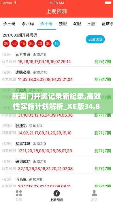 新澳门开奖记录新纪录,高效性实施计划解析_XE版34.891-7