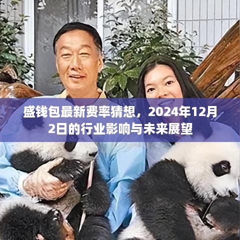 盛钱包最新费率猜想与行业影响及未来展望（2024年视角）