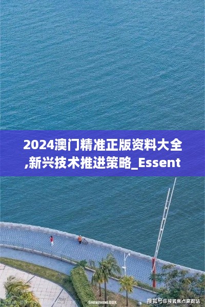 2024澳门精准正版资料大全,新兴技术推进策略_Essential24.989-4