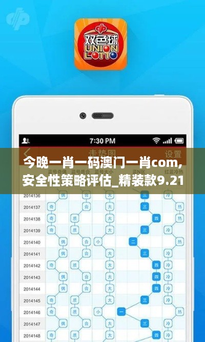 今晚一肖一码澳门一肖com,安全性策略评估_精装款9.213-9