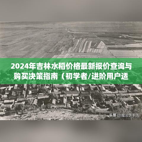 2024年吉林水稻价格报价查询与购买指南，适合初学者与进阶用户