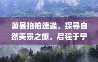 萧县拍拍速递，宁静十二月启程探寻自然美景之旅