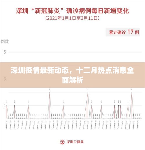 深圳疫情最新动态解析，十二月热点消息全面梳理