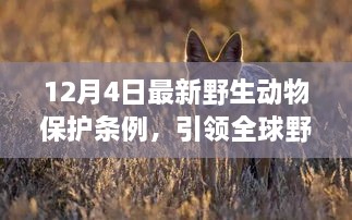 全球野生动物保护新篇章，最新野生动物保护条例颁布实施