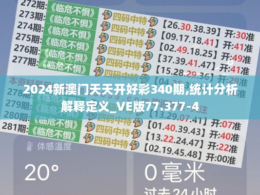 2024新澳门天天开好彩340期,统计分析解释定义_VE版77.377-4