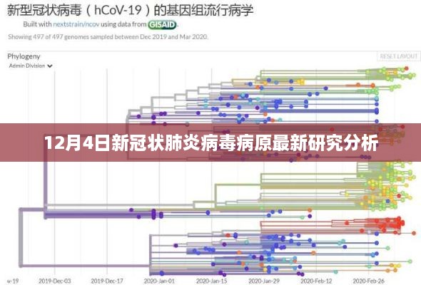 12月4日新冠状病毒病原最新研究综述