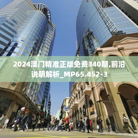 2024澳门精准正版免费340期,前沿说明解析_MP65.452-3