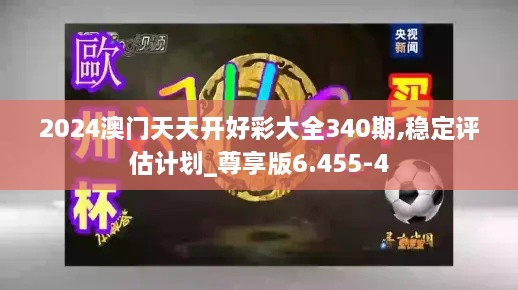 2024澳门天天开好彩大全340期,稳定评估计划_尊享版6.455-4