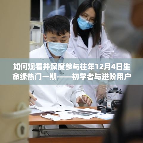 深度参与往年12月4日生命缘热门一期，初学者与进阶用户指南全解析