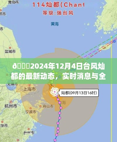 台风灿都最新动态，2024年12月4日实时消息与全面解析