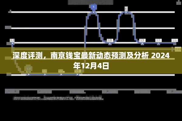 南京钱宝最新动态深度预测分析，2024年展望与解读