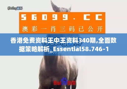 香港免费资料王中王资料340期,全面数据策略解析_Essential58.746-1