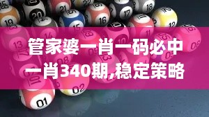 管家婆一肖一码必中一肖340期,稳定策略分析_NE版56.428-9